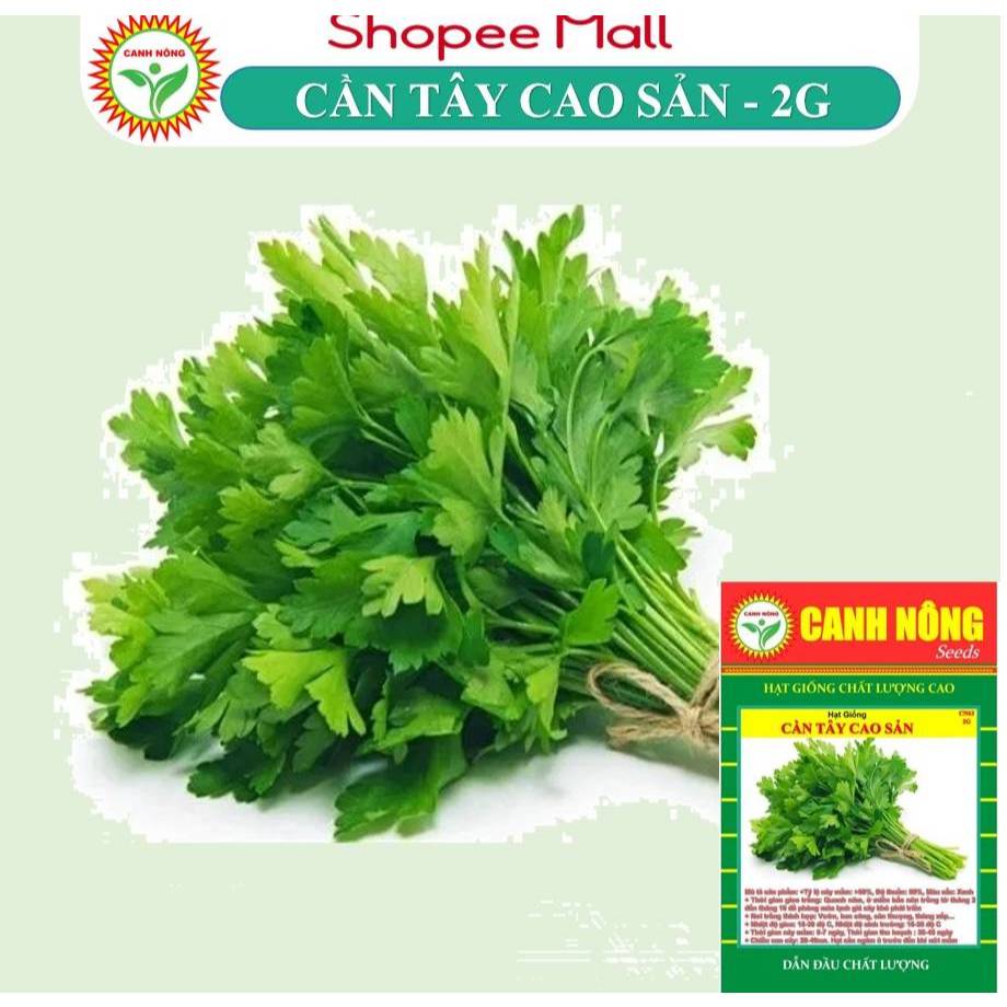 Hạt giống Cần Tây Thera (2g~3000 hạt) chịu nhiệt tốt, nảy mầm đồng đều, năng suất cao - Hạt giống CANH NÔNG