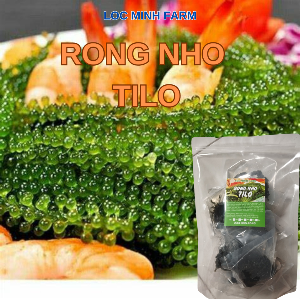 [500gr rong nho tách nước TILO loại 1 chuẩn gồm 5 gói mỗi gói 100gr ...