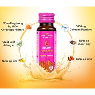 Nước uống collagen đông trùng hạ thảo Hector hộp 10 chai