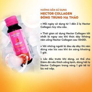 Nước uống collagen đông trùng hạ thảo Hector hộp 10 chai
