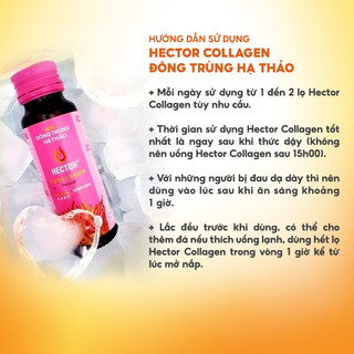 Combo 3 hộp Nước uống Collagen Đông Trùng Hạ Thảo Hector 5000mg (30chaix50ml)