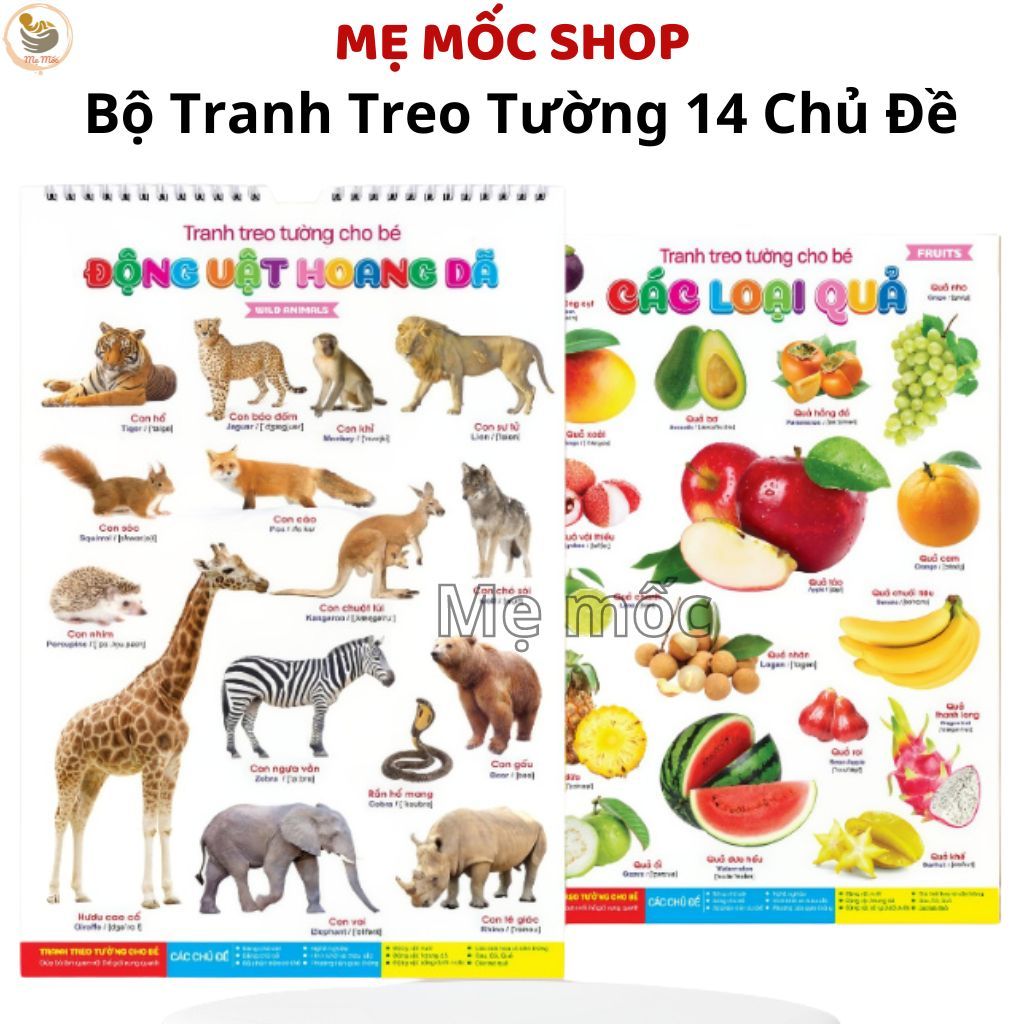 Tranh Treo Tường Cho Bé Học Về Thế Giới Xung Quanh Bộ 14 Chủ Đề Đa Dạng Song Ngữ Giúp Bé Học Tập