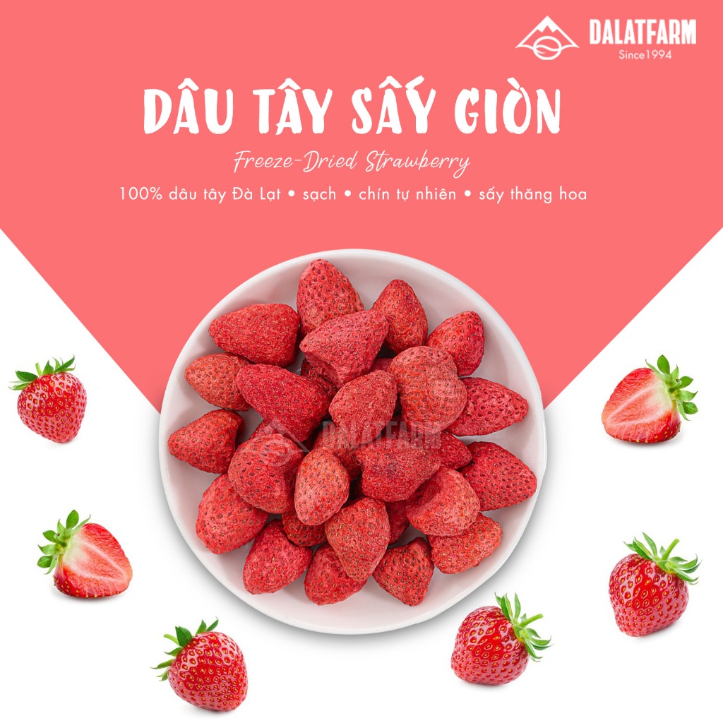 Ảnh Dâu Tây Sấy Giòn - Túi 80g 2