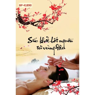 Tranh dán 3D trang trí spa dưỡng sinh, decor spa thẩm mỹ, tranh ngâm chân thảo dược in trên vải lụa (tặng kèm keo dán)
