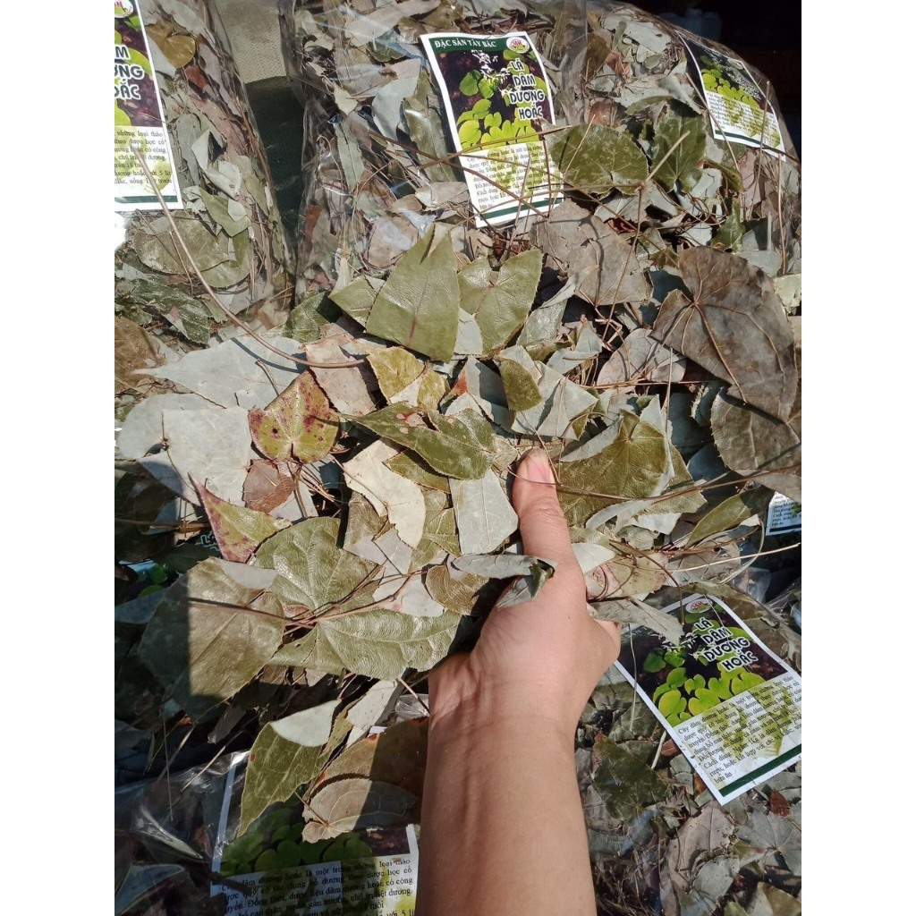 Dâm Dương Hoắc Bổ Thận, Tráng Dương, Tăng Cường Sinh Lực, Ngâm Rượu
