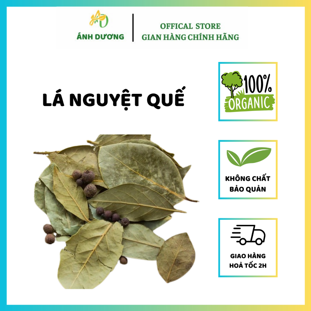 Lá Nguyệt Quế ( Lá Thơm ) Tăng Gia Vị Cho Các Món Ăn
