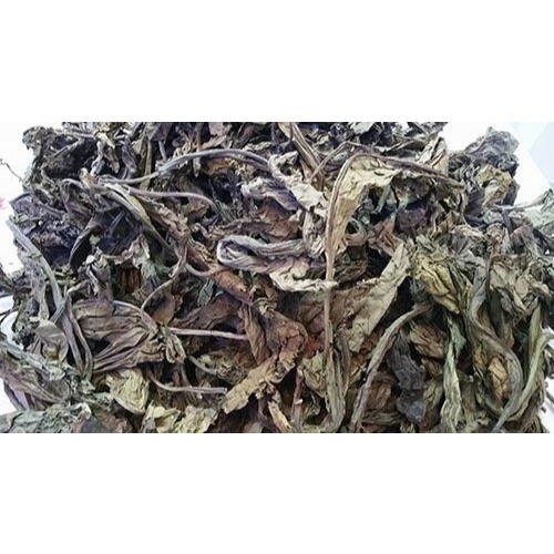Bồ Công Anh Thanh Nhiệt, Giải Độc, Làm Sạch Cơ Thể, Làm Mát Sữa, Chống Tắc Tia Sữa
