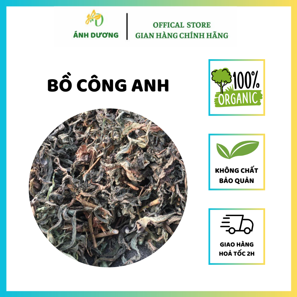 Bồ Công Anh Thanh Nhiệt, Giải Độc, Làm Sạch Cơ Thể, Làm Mát Sữa, Chống Tắc Tia Sữa