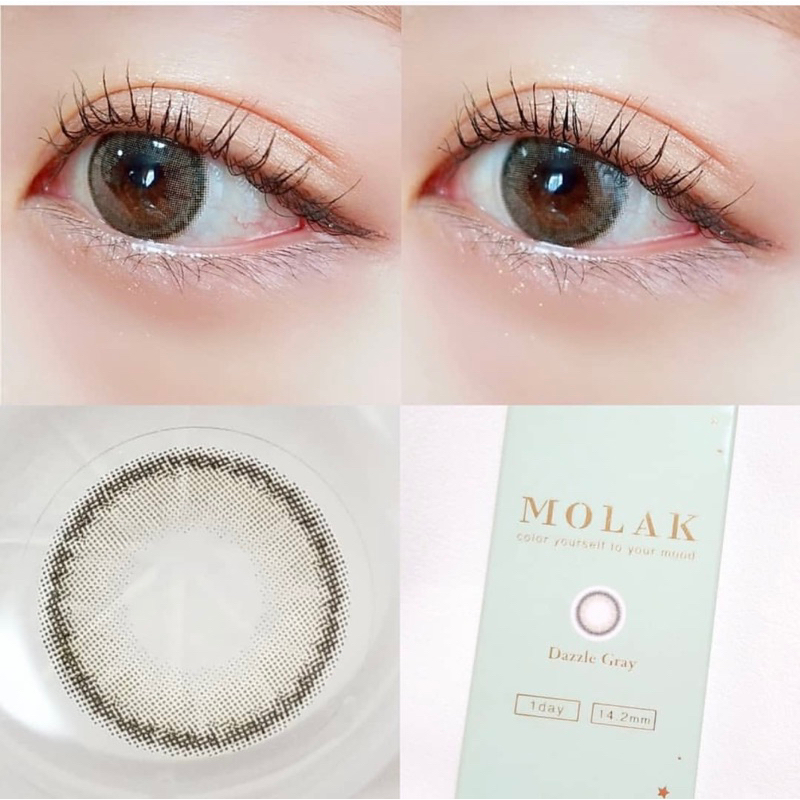 Lens cận 1 ngày Dazzle Gray 24h sử dụng của Nhật Bản Dòng độ ẩm cao gamilens