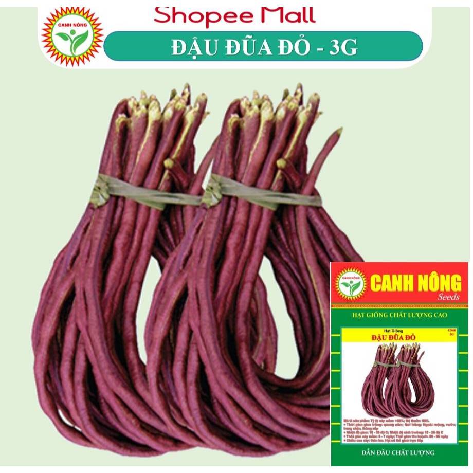 Hạt giống Đậu Đũa Tím (3 Gram) năng suất cao, thu hoạch nhiều lần, trồng quanh năm - Hạt giống CANH NÔNG