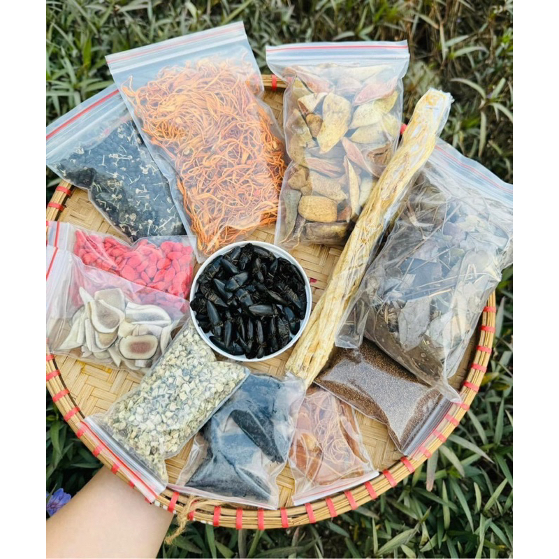 Set 12 vị bổ củi rừng mix đông trùng hạ thảo,đẳng sâm,nhục thung dung, quả trâu cổ(thảo dược tự nhiên an toàn sức khoẻ)