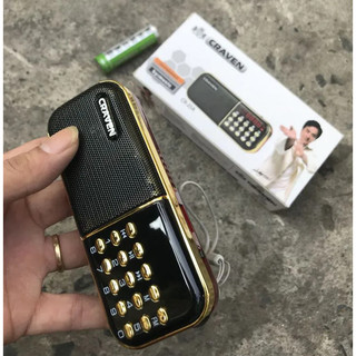 Loa đa năng Craven CR-25A có khe Thẻ nhớ/ USB / FM - dung lượng pin 2200mAh