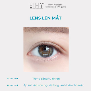 SIHY - Kính áp tròng, Lens [CẬN - LOẠN] trong suốt 6 tháng cao cấp, đeo cực êm, không bị cộm