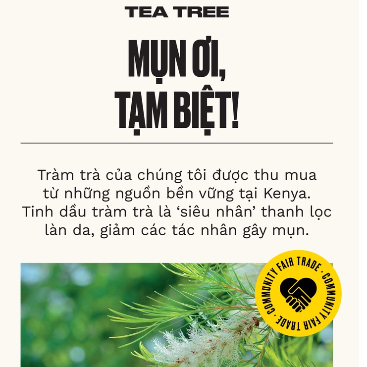 Ảnh Sữa Tắm Tràm Trà Tea Tree Body Wash 250ml THE BODY SHOP 2