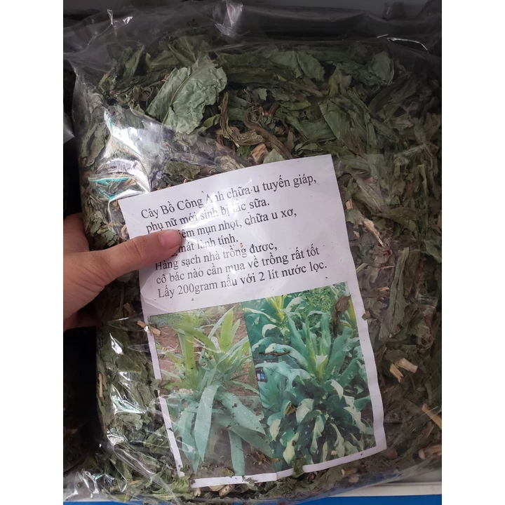1 Kg Lá Bồ Công Anh khô