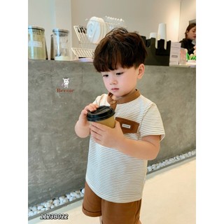 Bộ cộc tay bé trai cotton Bernie áo kẻ cổ trụ phối nắp túi ngực cho bé 9-25kg BUNNKIDS