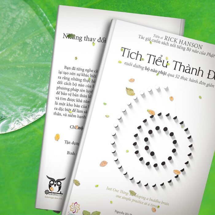 Ảnh Sách - Tích Tiểu Thành Đại - NXB Hồng Đức 1
