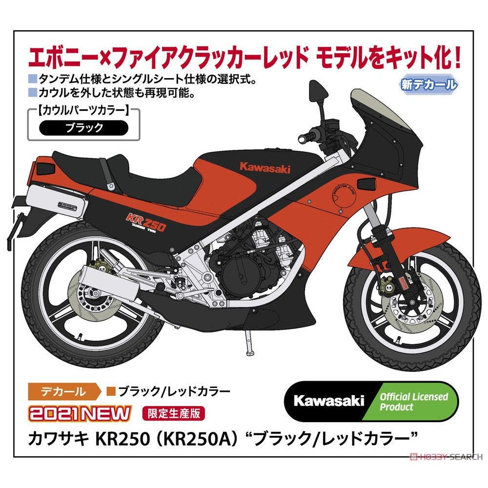KR-250 シングルシートカウル （カワサキ KR250(KR250A
