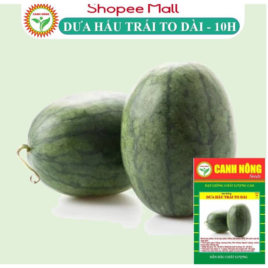 Hạt giống Dưa Hấu (10 hạt) trái to, dài, ruột đỏ, ngọt, kháng sâu bệnh, trồng quanh năm - Hạt giống CANH NÔNG