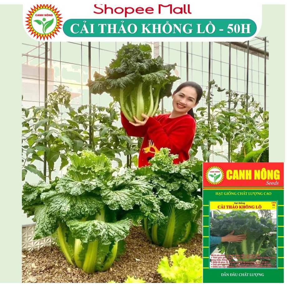 Hạt giống Cải Thảo Không Lồ (50 hạt) Bắp To, Trồng Quanh Năm, Dễ Chăm Sóc - Hạt iống CANH NÔNG