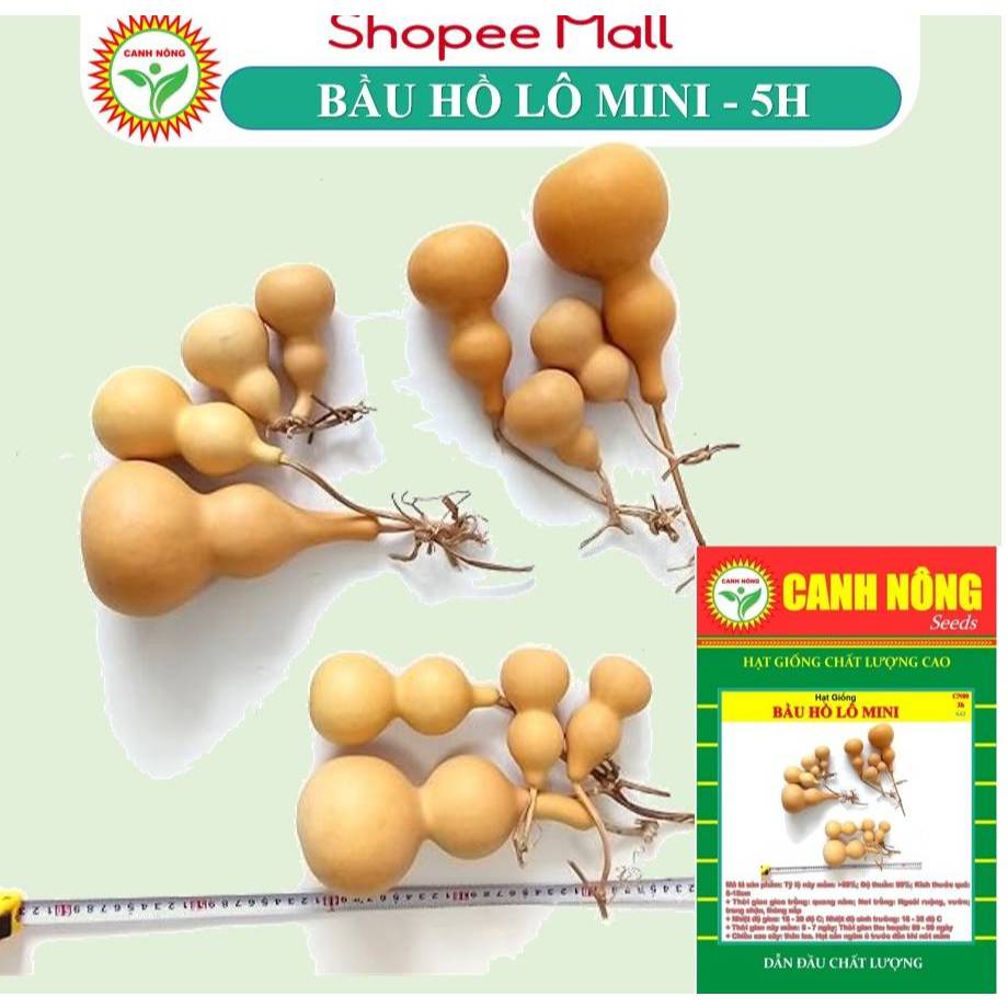 Hạt giống Bầu Hồ Lô MINI (3 hạt) nảy mầm tốt, sinh trưởng khỏe, trồng quanh năm - Hạt giống CANH NÔNG