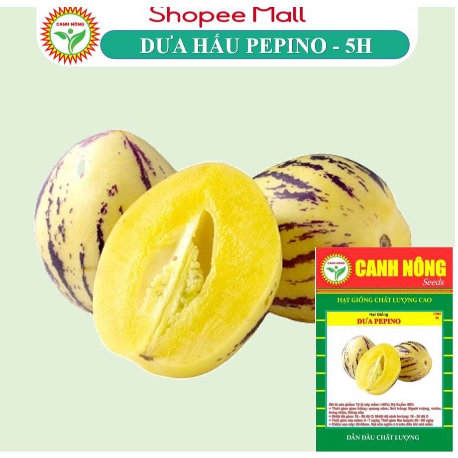Hạt giống Dưa PEPINO (5 hạt) trái Lớn, Thơm, Ngon, tTrồng quanh năm - Hạt giống CANH NÔNG