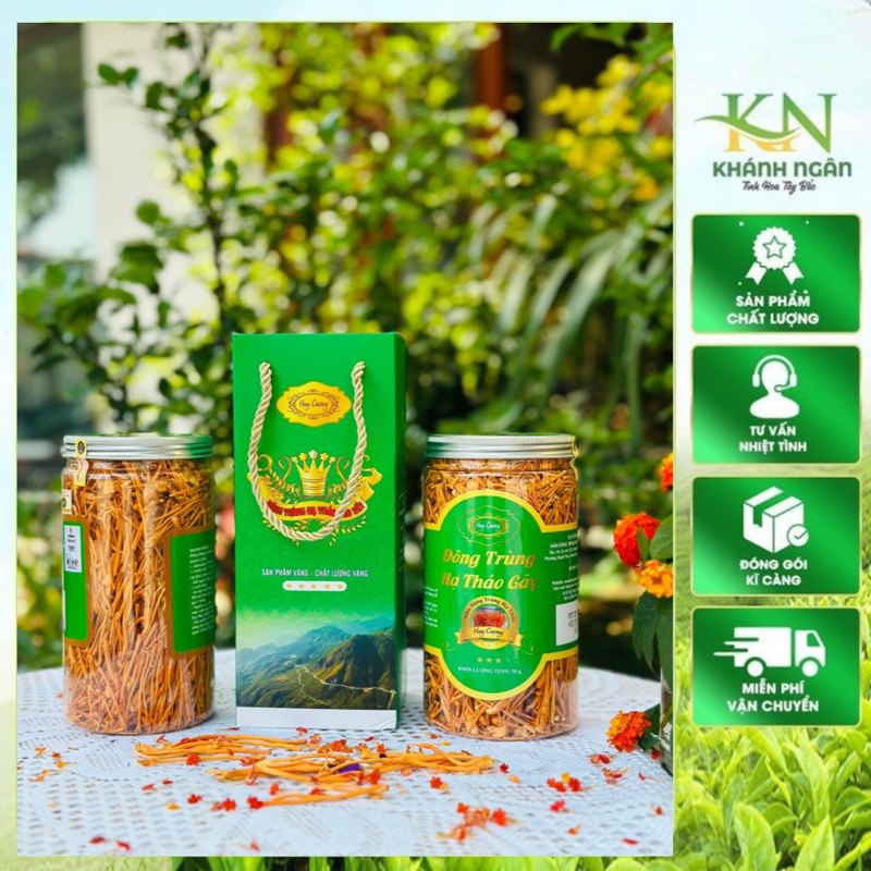 Nấm Đông Trùng Hạ Thảo Huy Cương Sấy Khô Thăng Hoa - Hàng Gãy (lọ 50g) nấm đông trùng hạ thảo khô bổ sung dinh dưỡng