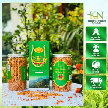 Nấm Đông Trùng Hạ Thảo Huy Cương Sấy Khô Thăng Hoa - Hàng Gãy (lọ 50g) nấm đông trùng hạ thảo khô bổ sung dinh dưỡng