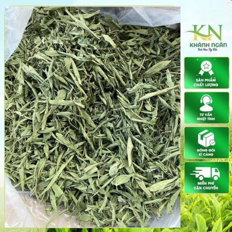 Cỏ Ngọt Nguyên Lá Tây Bắc – Sạch, Thơm Ngon – Dễ Dùng