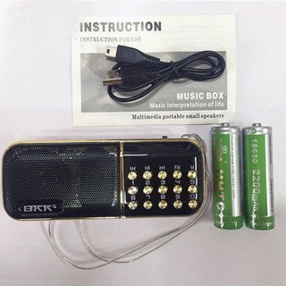 Loa đa năng BKK B851 tích hợp 2 khe thẻ nhớ - Pin khủng 4400mah (Đen)