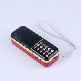 Loa đa năng BKK B851 tích hợp 2 khe thẻ nhớ - Pin khủng 4400mah (Đen)