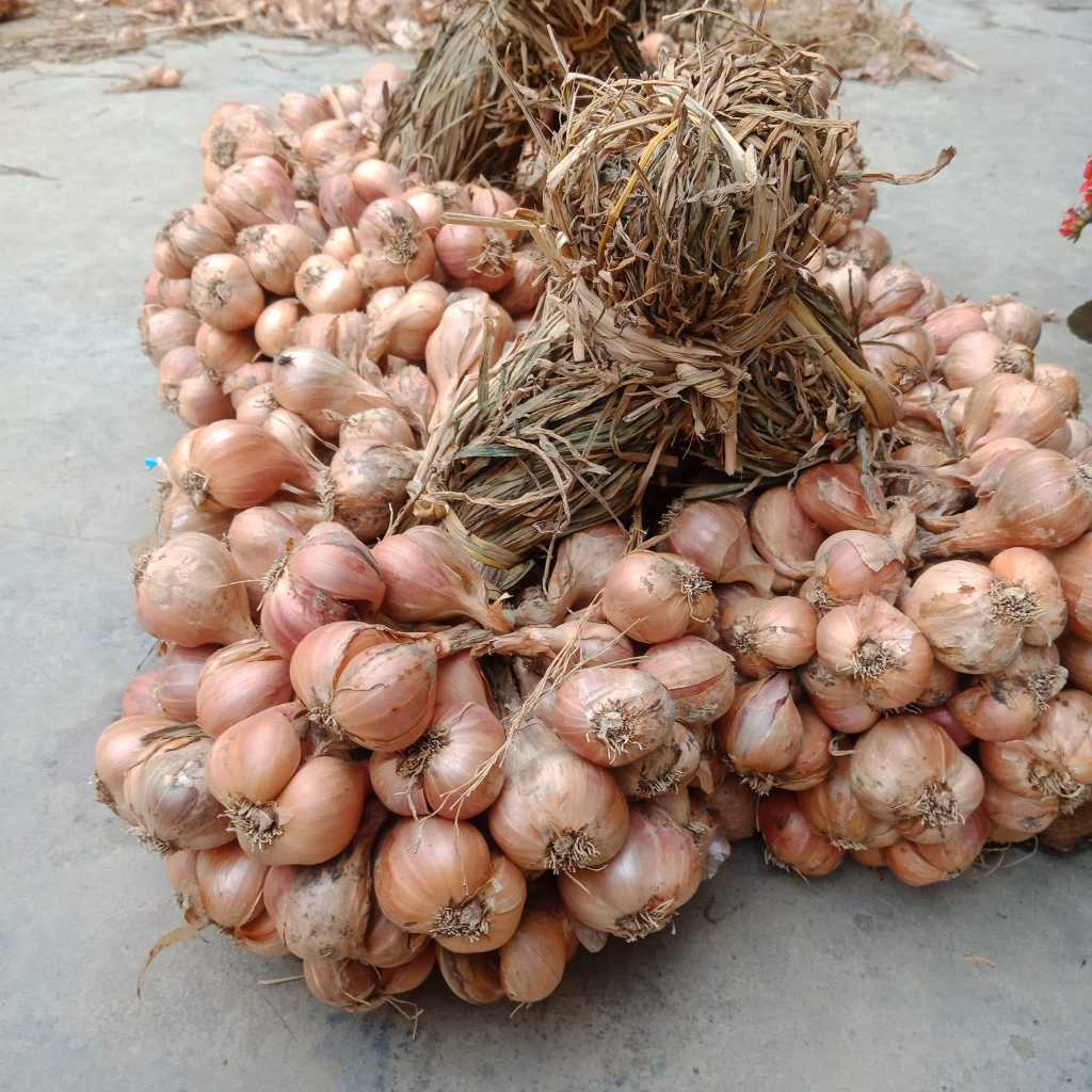 Hành Khô Kinh Môn Hải Dương 3kg Nhà Trồng Hàng Loại 1 Không Chất Bảo Quản HK3