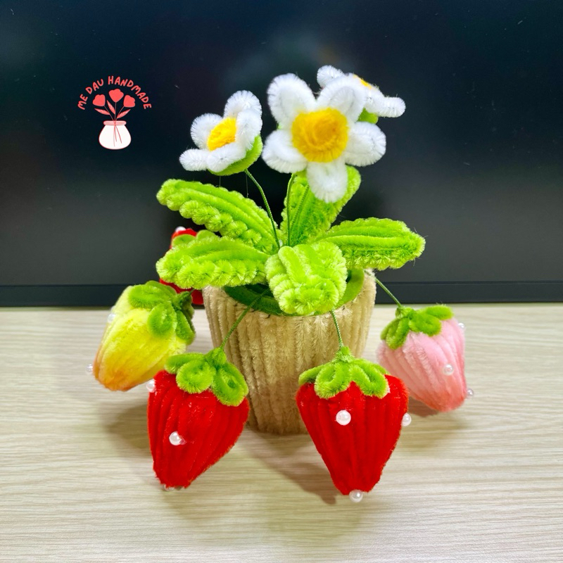 [Thành phẩm] Chậu Hoa Kẽm Nhung mini Thủ công Handmade - Làm Quà tặng - Decor Trang trí nhà cửa, bàn học, bàn làm việc