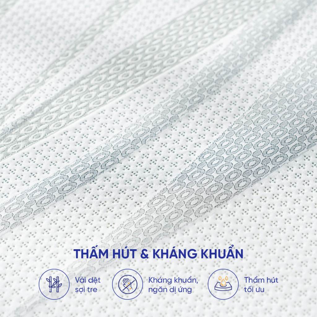 Nệm cao su than tre kháng khuẩn Gummi Premium