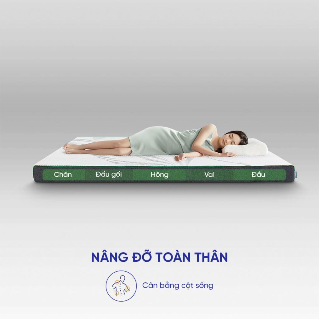 Nệm cao su than tre kháng khuẩn Gummi Premium