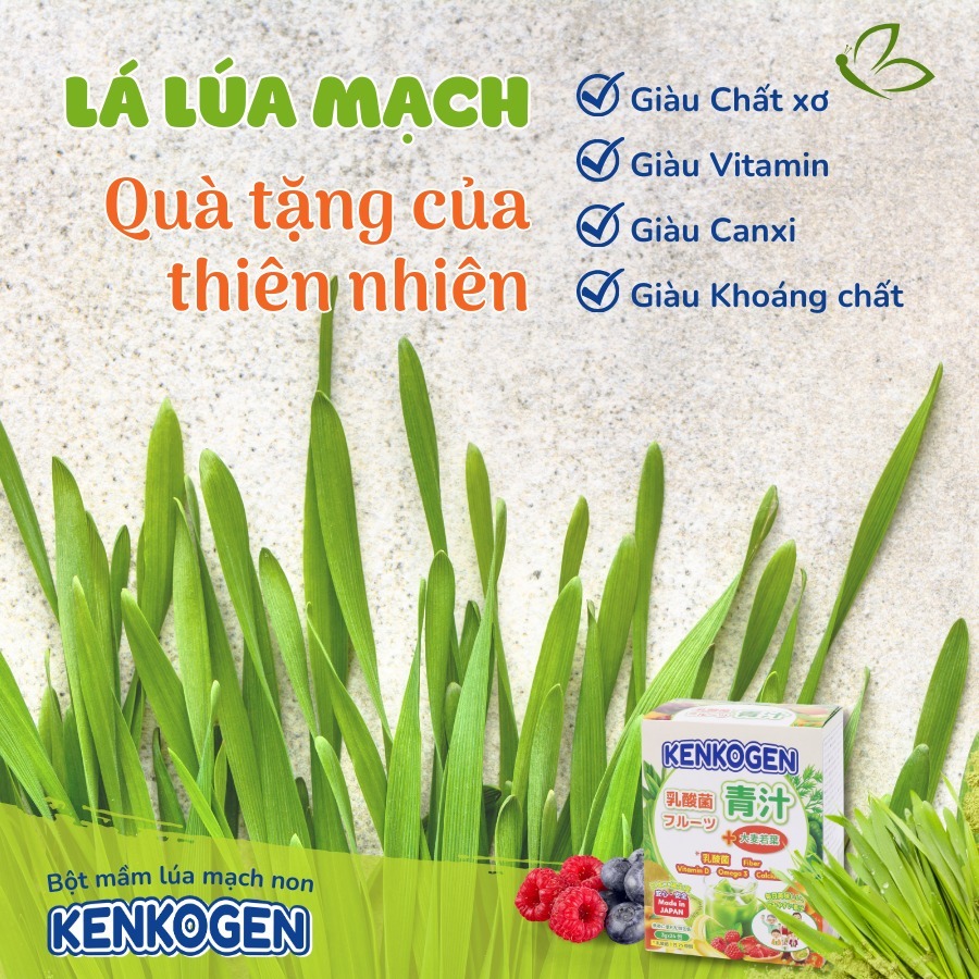 (24 gói ) Bột mầm lúa mạch non Aojiru Kenkogen trái cây lợi khuẩn, chất xơ, Omega 3, Canxi D, Vit C