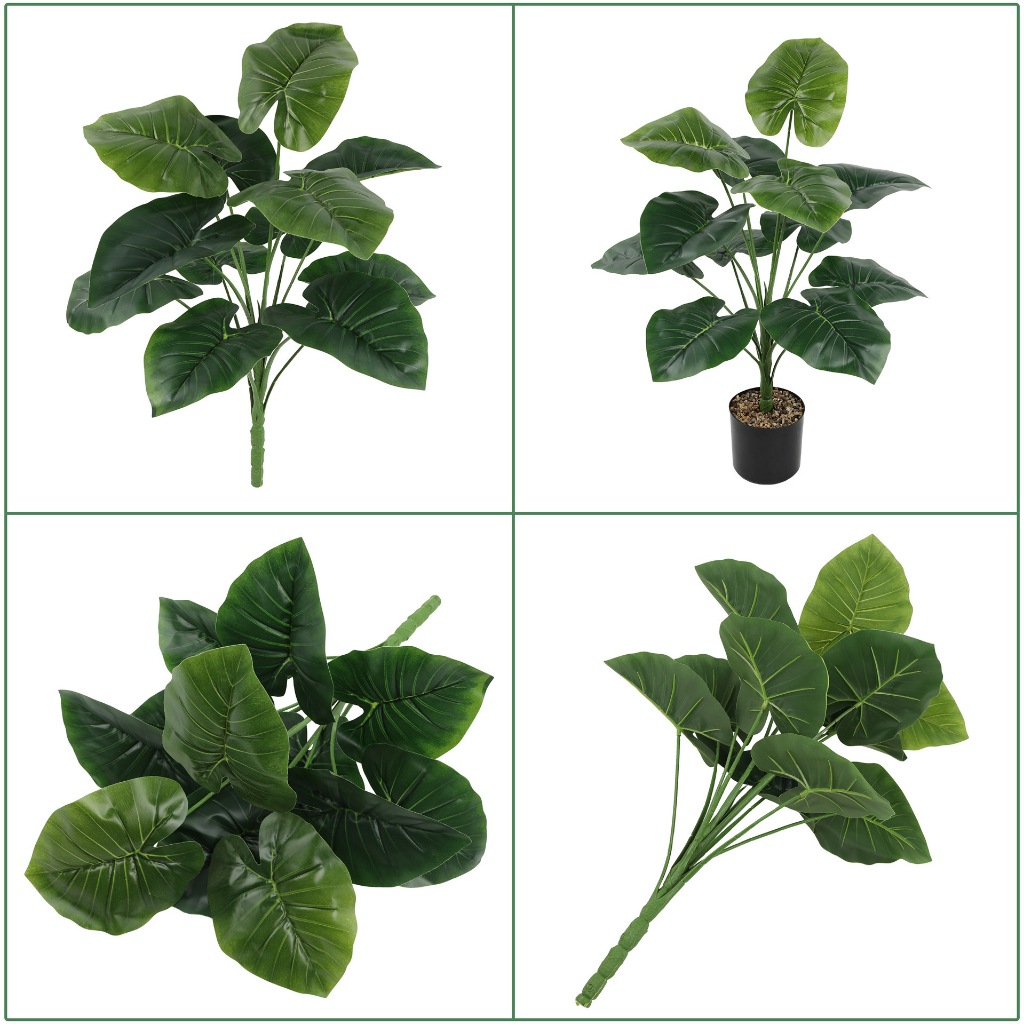 Cây giả trang trí tiêu cảnh đẹp nhiều mẫu  Lá Rùa Là rách Khoai môn Kim Ngân cao 58cm 12 lá to 20x16cm nhiều mẫu đẹp