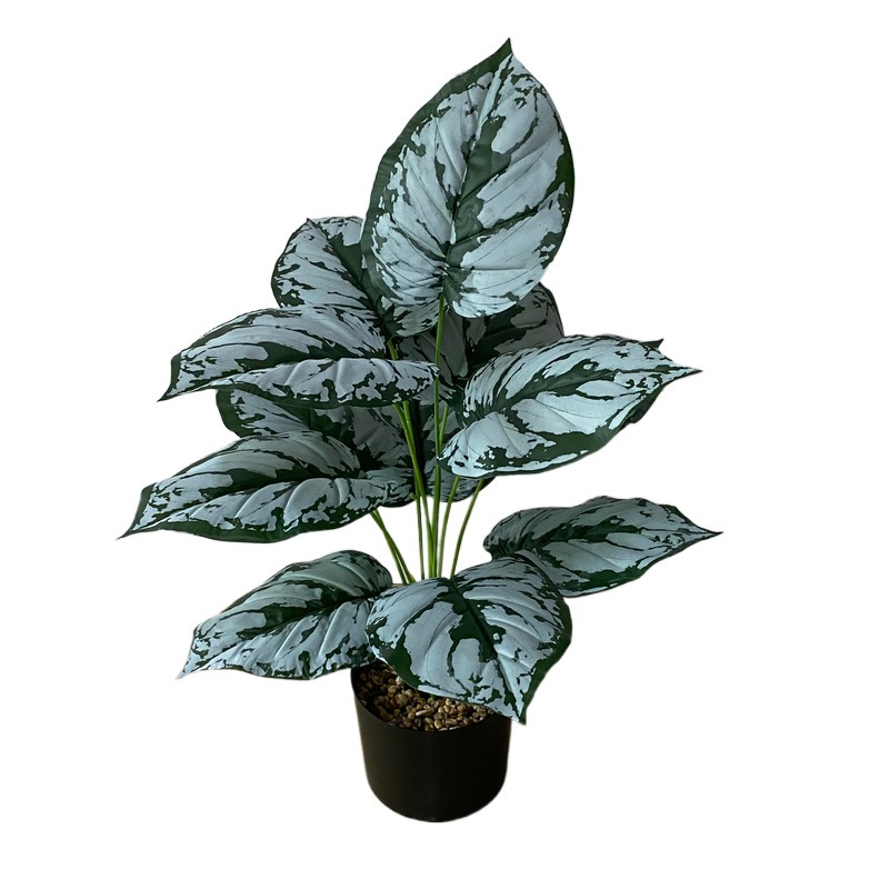Cây giả trang trí tiêu cảnh đẹp nhiều mẫu  Lá Rùa Là rách Khoai môn Kim Ngân cao 58cm 12 lá to 20x16cm nhiều mẫu đẹp
