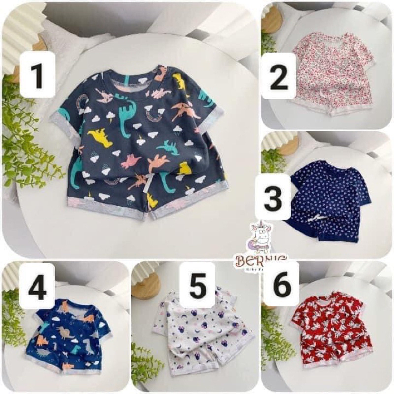 Set Bộ Bé Gái Mùa Hè Bernie E0349 Cộc Tay Cotton Họa Tiết Cute Nhiều Màu (Size 80–120, 10–24kg) – Đồ Bộ Bé Gái
