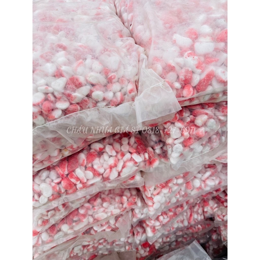 1 KG Sỏi ( Đá ) đủ màu không phai trang trí bề mặt chậu cây, bể cá, thủy