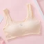 Áo ngực cho bé gái, áo lót học sinh cấp 2,cấp 3 Maruka Fashion hình thỏ siêu mềm 35-45kg