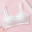 Áo ngực cho bé gái, áo lót học sinh cấp 2,cấp 3 Maruka Fashion hình thỏ siêu mềm 35-45kg