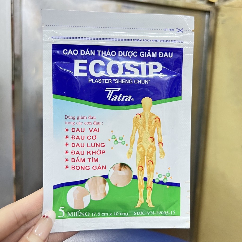 Cao dán Ecosip giảm đau cơ xương khớp | Shopee Việt Nam