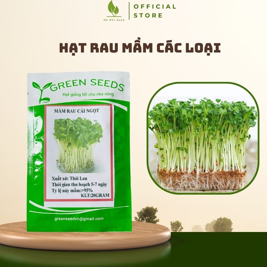 Hạt giống Rau Mầm Hà Nội Xanh, hạt giống rau quả hạt rau mầm trồng ...