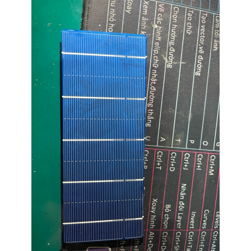 Solar cell. pin haf cell poly kt: 60x156 | Shopee Việt Nam