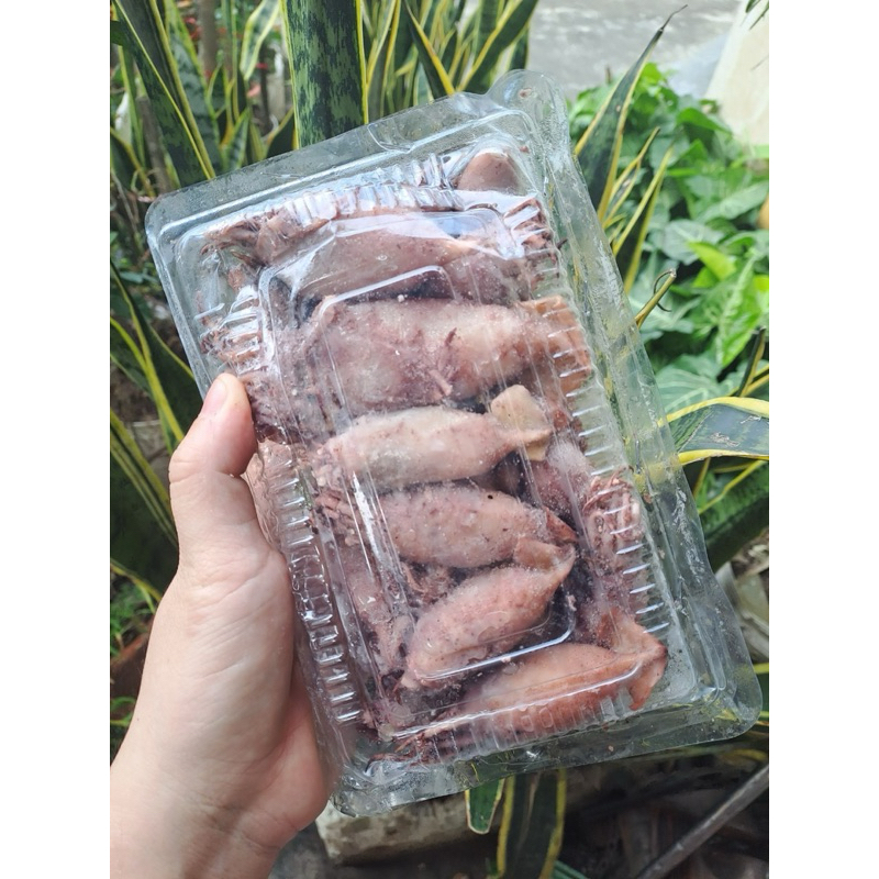 mực sim 1 nắng hấp sơ 1kg ️GIÁ SỈ ️ngon giòn thơm ngọt | Shopee Việt Nam