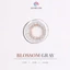 Kính áp tròng QUYNH LENS Blossom Gray 0-8 độ