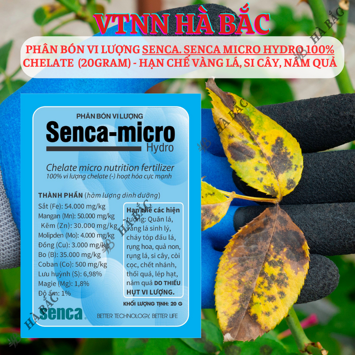 Phân bón vi lượng Senca Micro Hydro 100% Chelate (2.5gram) - Hạn chế vàng lá, si cây, nám quả