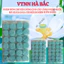 Phân bón chuyên dùng cho cây cảnh ngập nước HP-111 (11-11-11 + TE) (24 viên) Hải Phong, cho cây sen súng, bèo lục bình