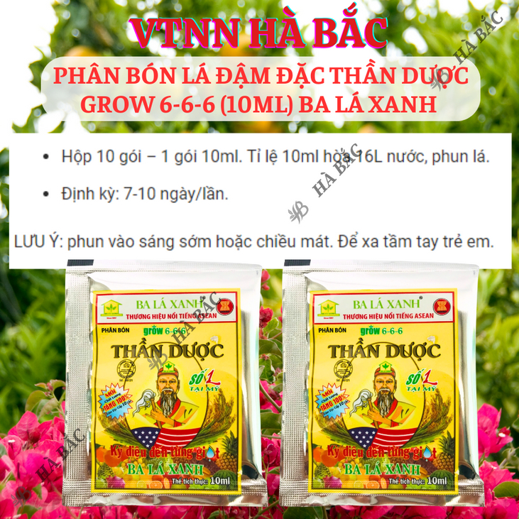 Phân bón lá đậm đặc Thần Dược số 1 Grow 6-6-6 (10ml) Ba Lá Xanh, Tăng trưởng mạnh mẽ, bông nhiều, hạt sáng